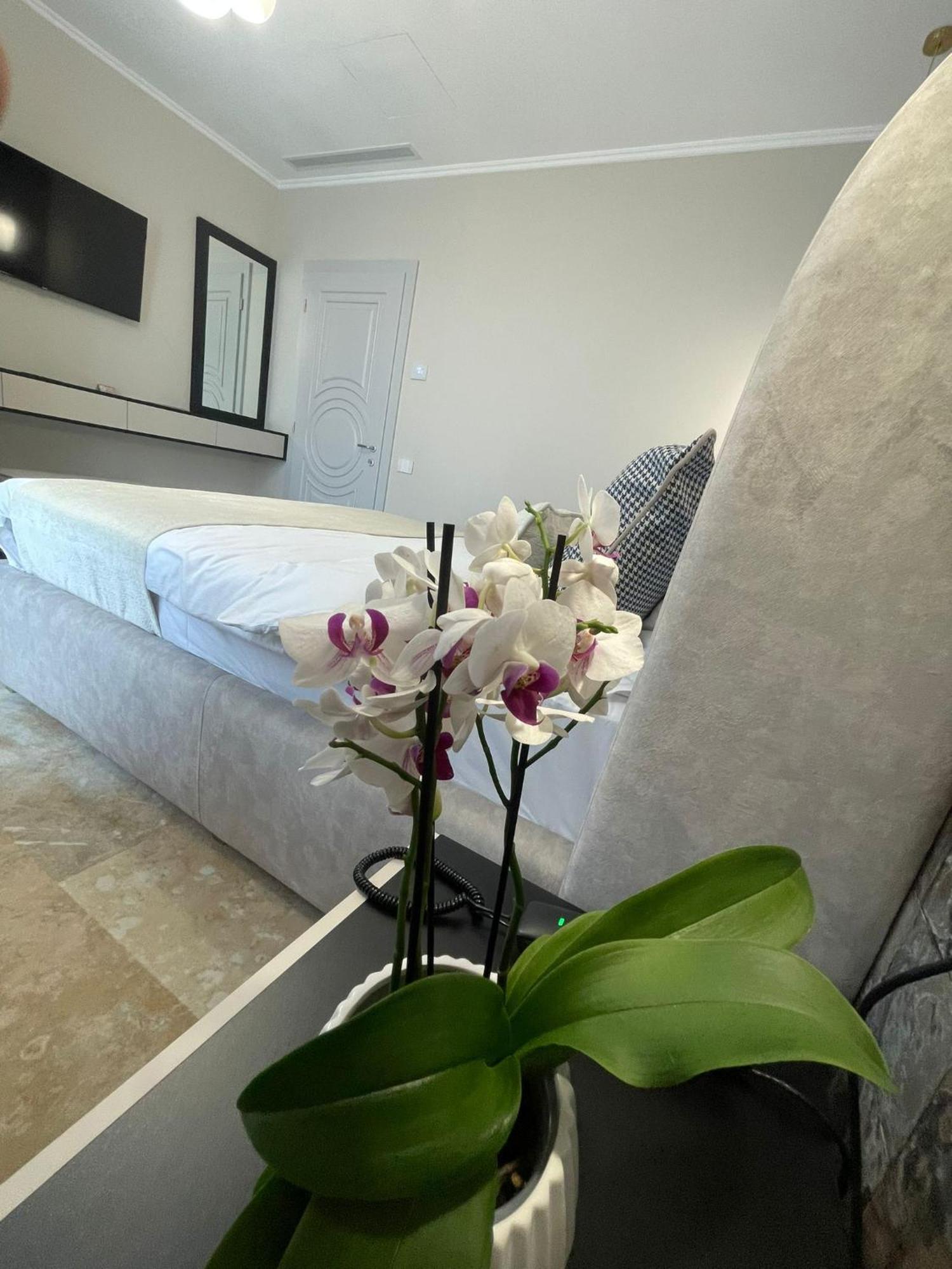 Boutique Hotel Bals Bagian luar foto